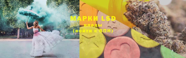 прущая мука Дмитриев