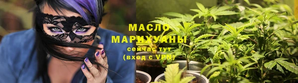 сатива Дмитровск
