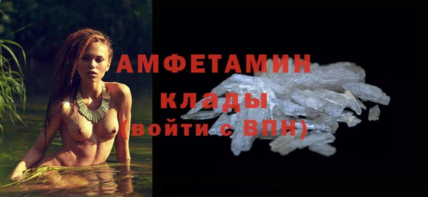 сатива Дмитровск