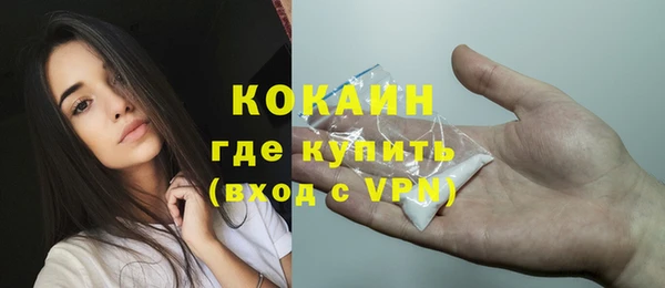 прущая мука Дмитриев