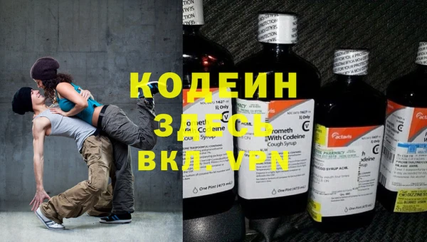 сатива Дмитровск