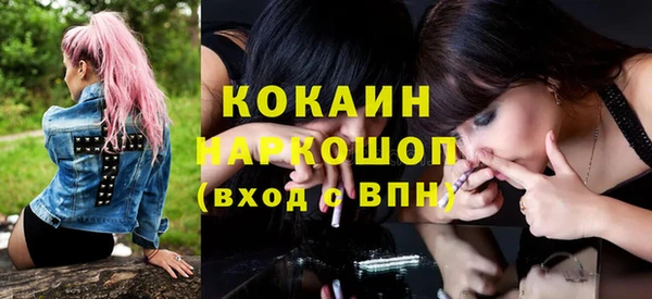 сатива Дмитровск